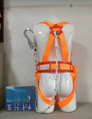 Full Body Harness Belt