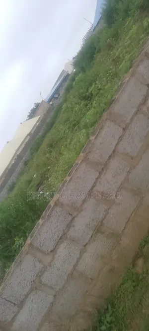 Estate Land