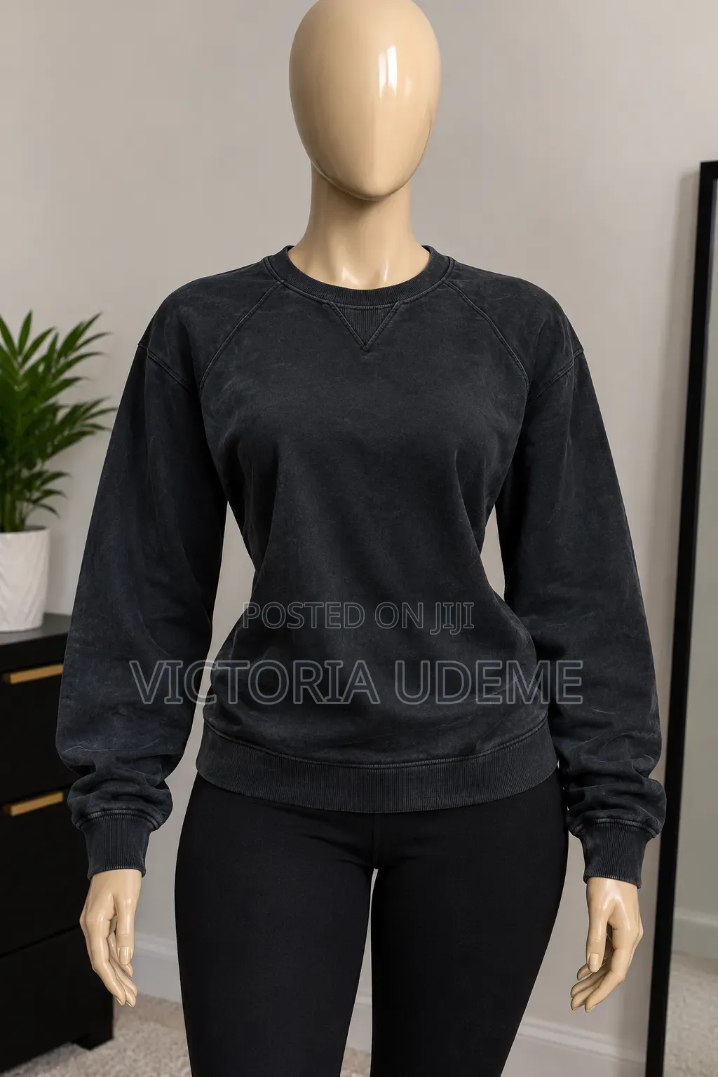 Sweatshirts and Basic Tops