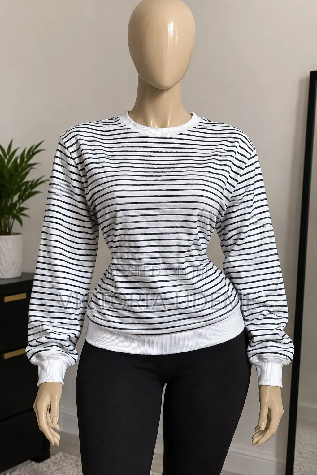 Sweatshirts and Basic Tops