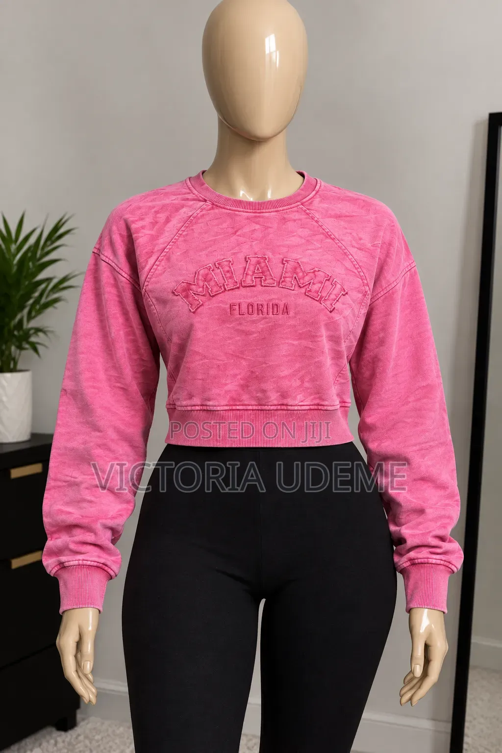 Sweatshirts and Basic Tops