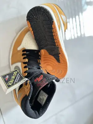 Air Jordan 1 High Element GORE-TEX in the Light Curry