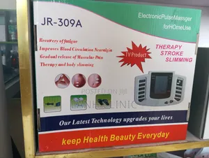 Electronic Pulse Massager