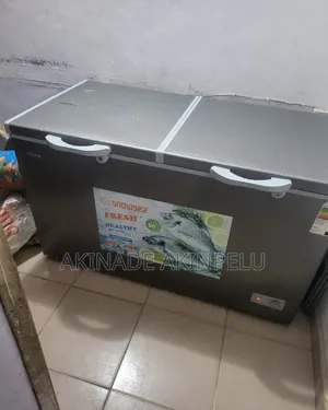 Snowsea Freezer