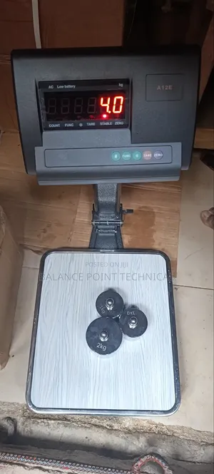 60kg Digital Platform Scale