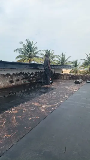 Roof Leakages Expert