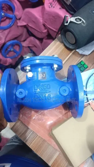 Flange Non Return Valve