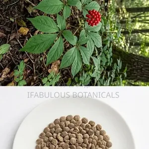 Ginseng Seeds