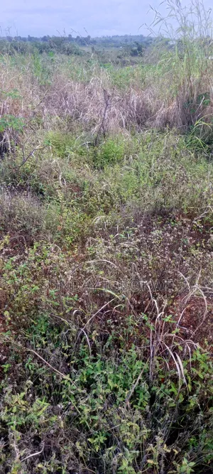 525 Plots of Lands for Sale at Umueri, 5mins Drive to the Airport