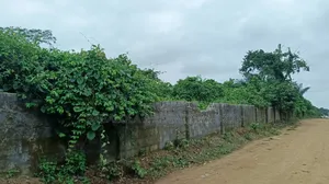 Land at Temu Village Epe Off Epe-Ikorodu Road