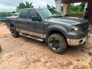 Ford F-150 2010 Gray