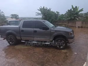 Ford F-150 2010 Gray