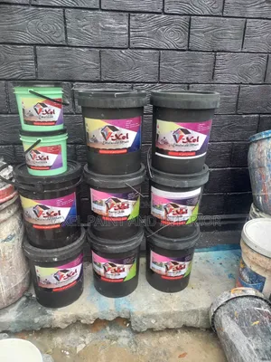 Professional House Painter and Interior Designs