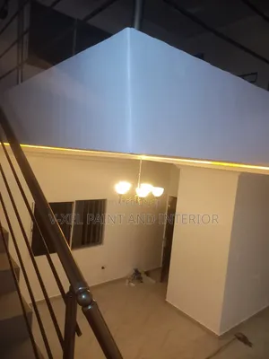 Professional House Painter and Interior Designs