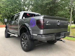 Ford F-150 Platinum 2012 Gray