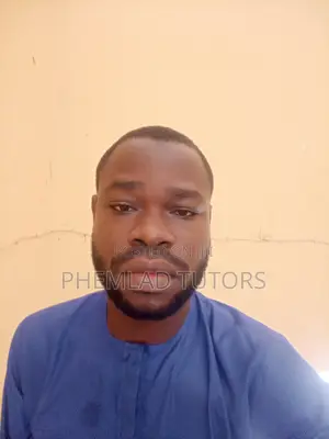 Private Math and Physics Tutor for OAU Freshers in Ile Ife
