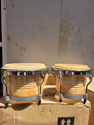 Bongo Drum Set