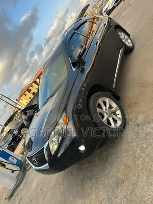 Lexus RX 350 2010 Gray