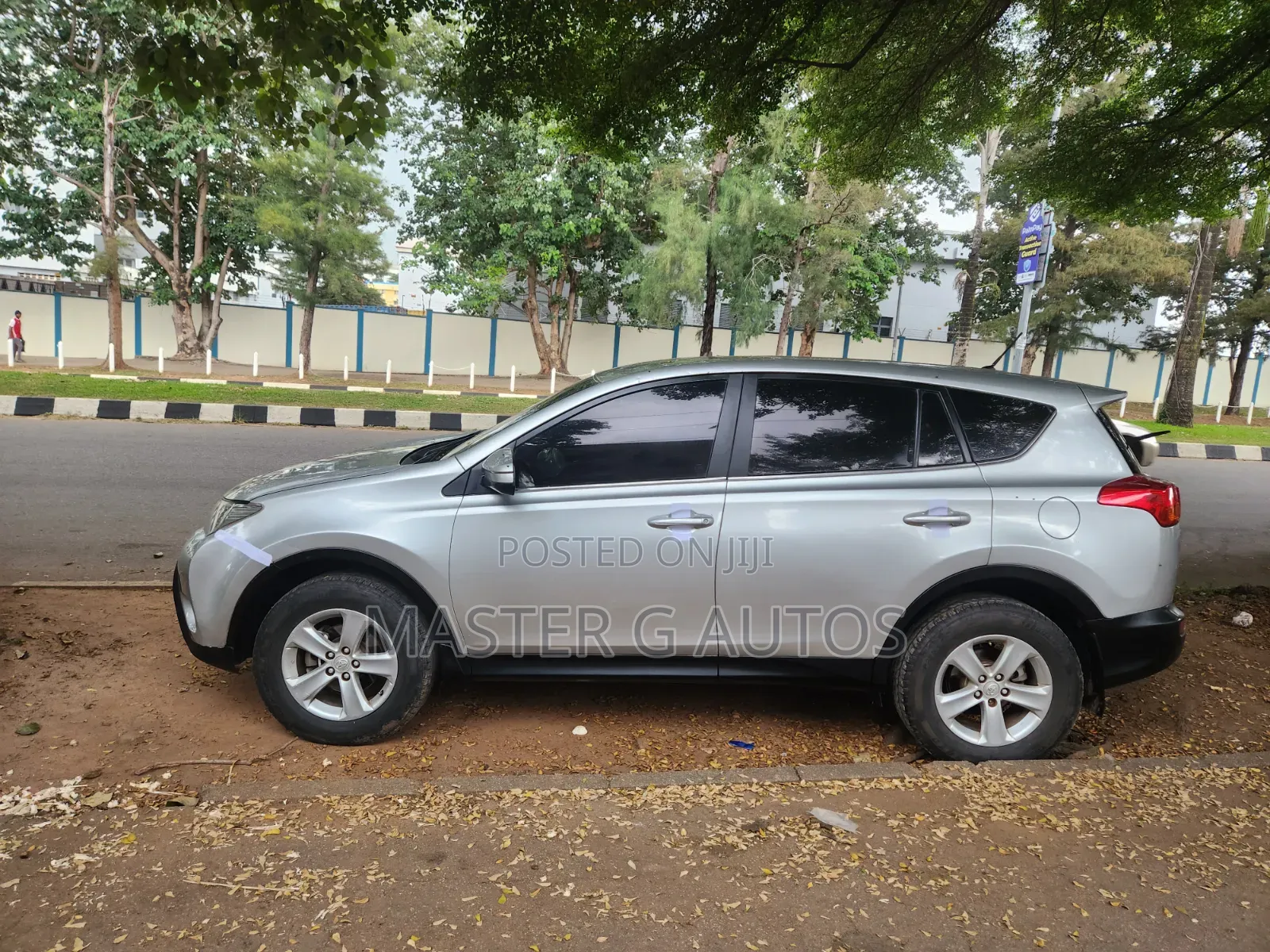 Toyota RAV4 2014 Silver
