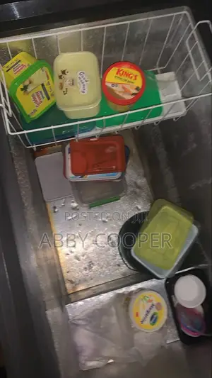 Use Bruhm Deep Freezer 200l