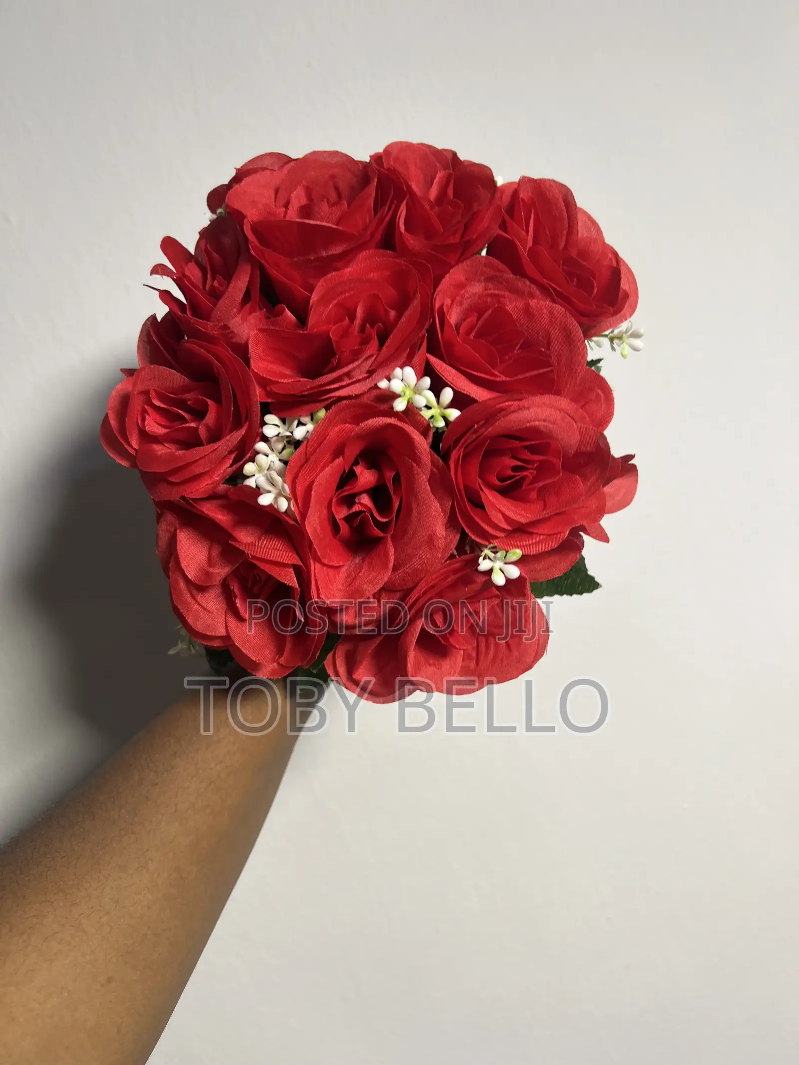 Red Roses Available for Rent