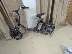 Electric Bicycle and Normal