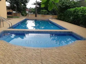 Furnished 3bdrm Duplex in Asokoro  Main for rent