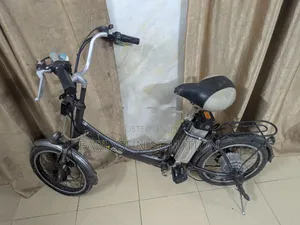 Electric Bicycle and Normal