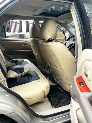 Lexus RX 2003 Gray