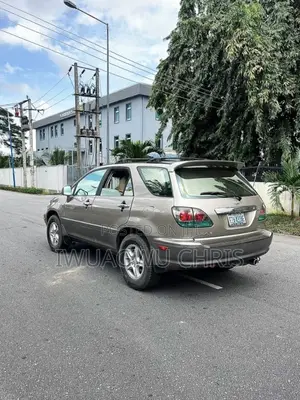 Lexus RX 2003 Gray
