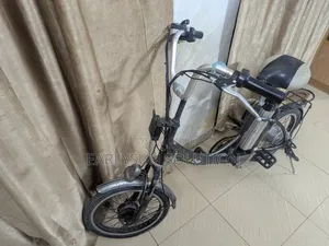 Electric Bicycle and Normal
