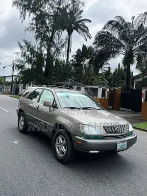 Lexus RX 2003 Gray