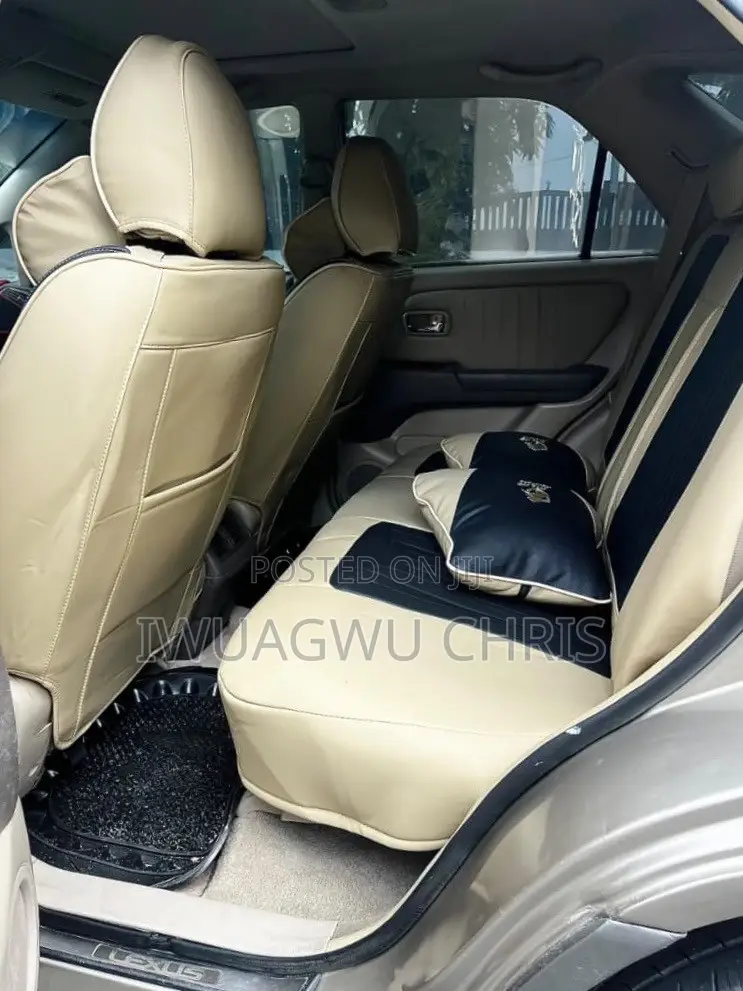 Lexus RX 2003 Gray