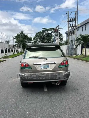 Lexus RX 2003 Gray