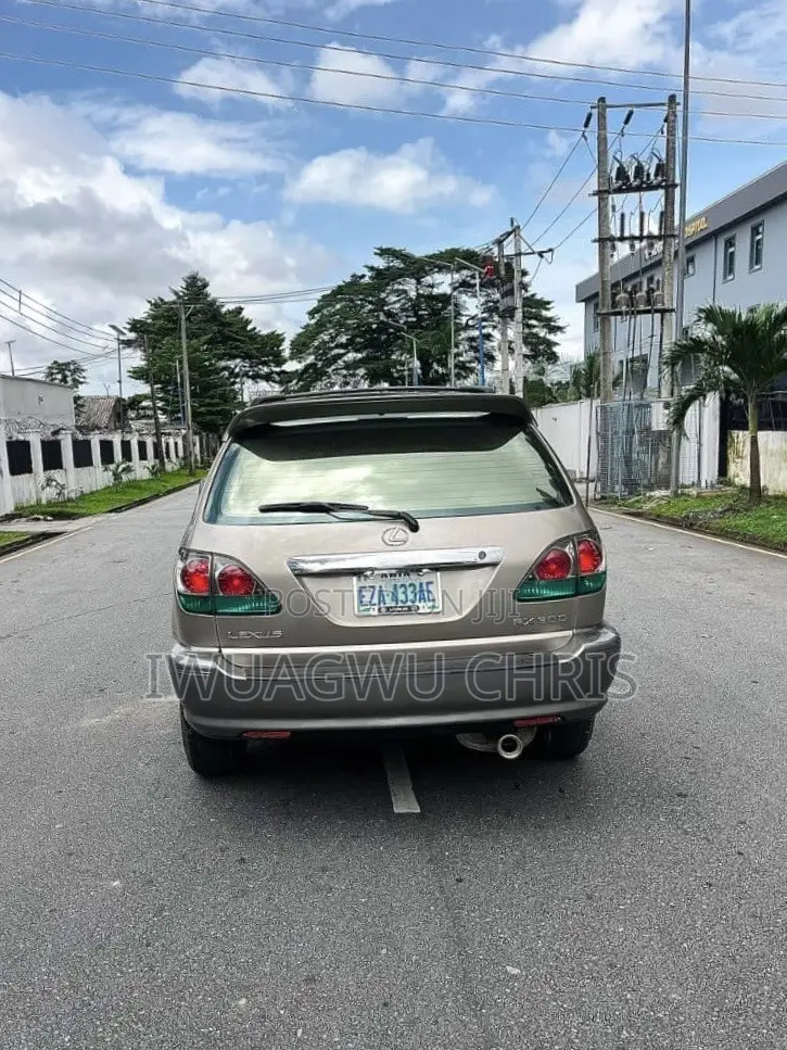 Lexus RX 2003 Gray