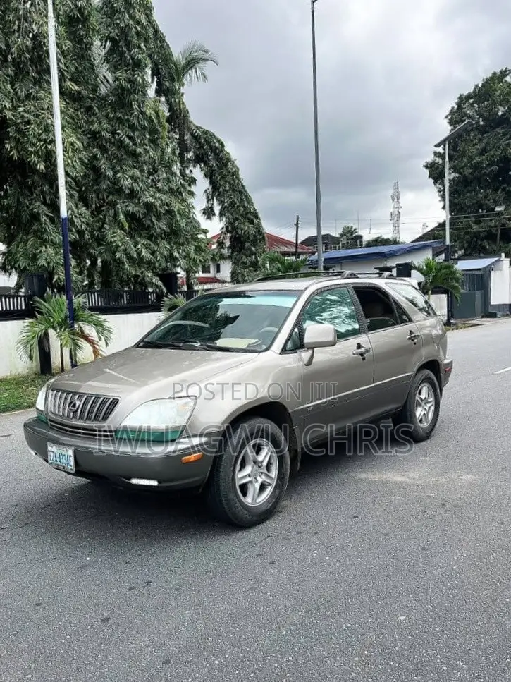Lexus RX 2003 Gray