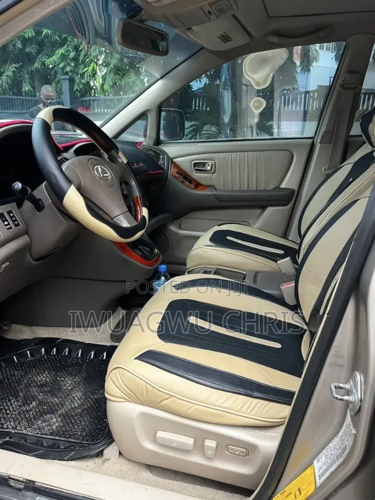 Lexus RX 2003 Gray