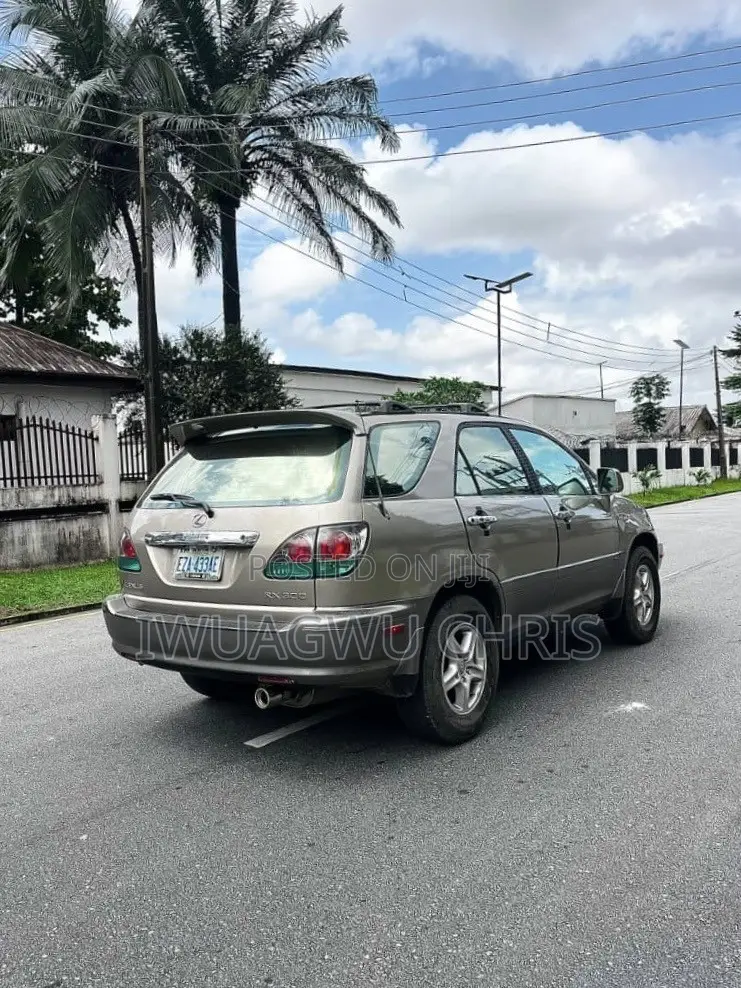 Lexus RX 2003 Gray