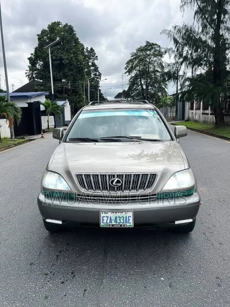 Lexus RX 2003 Gray