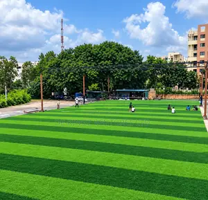 Grass Carpet Rug the Best for Garden, Field, Pitch, Anywhere