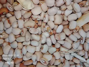 Grain Fumigation