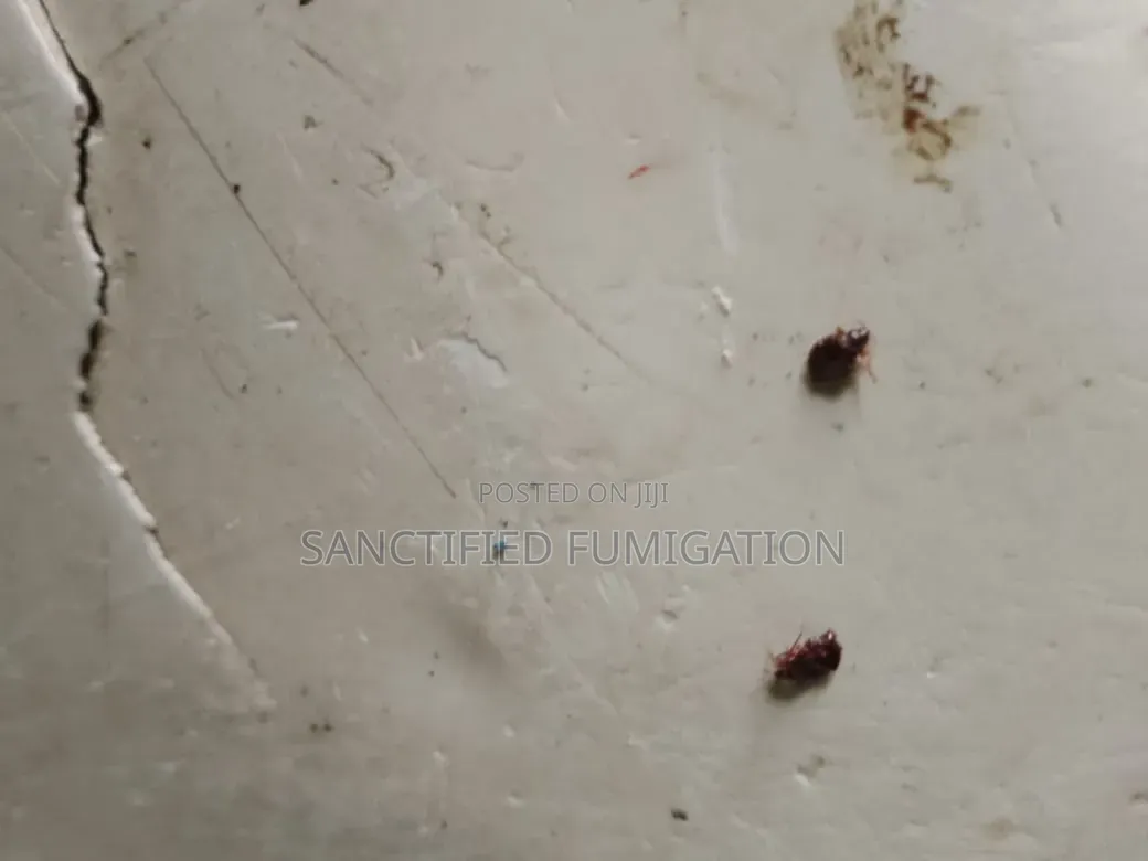 Grain Fumigation