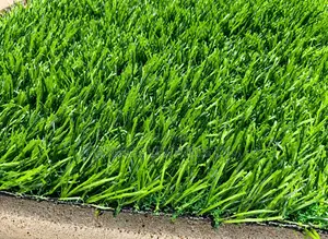 35mm Highest-Grade Artificial Grass Carpet Rug