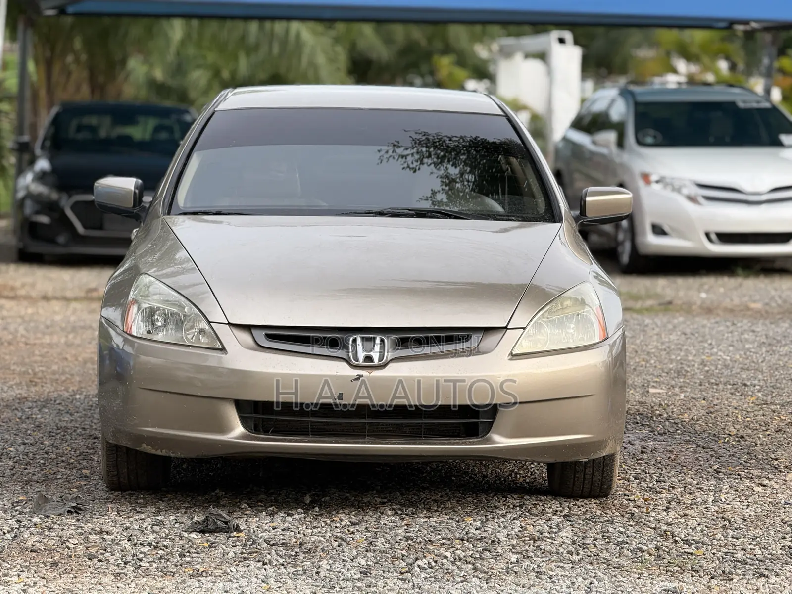 Honda Accord 2004 Gold