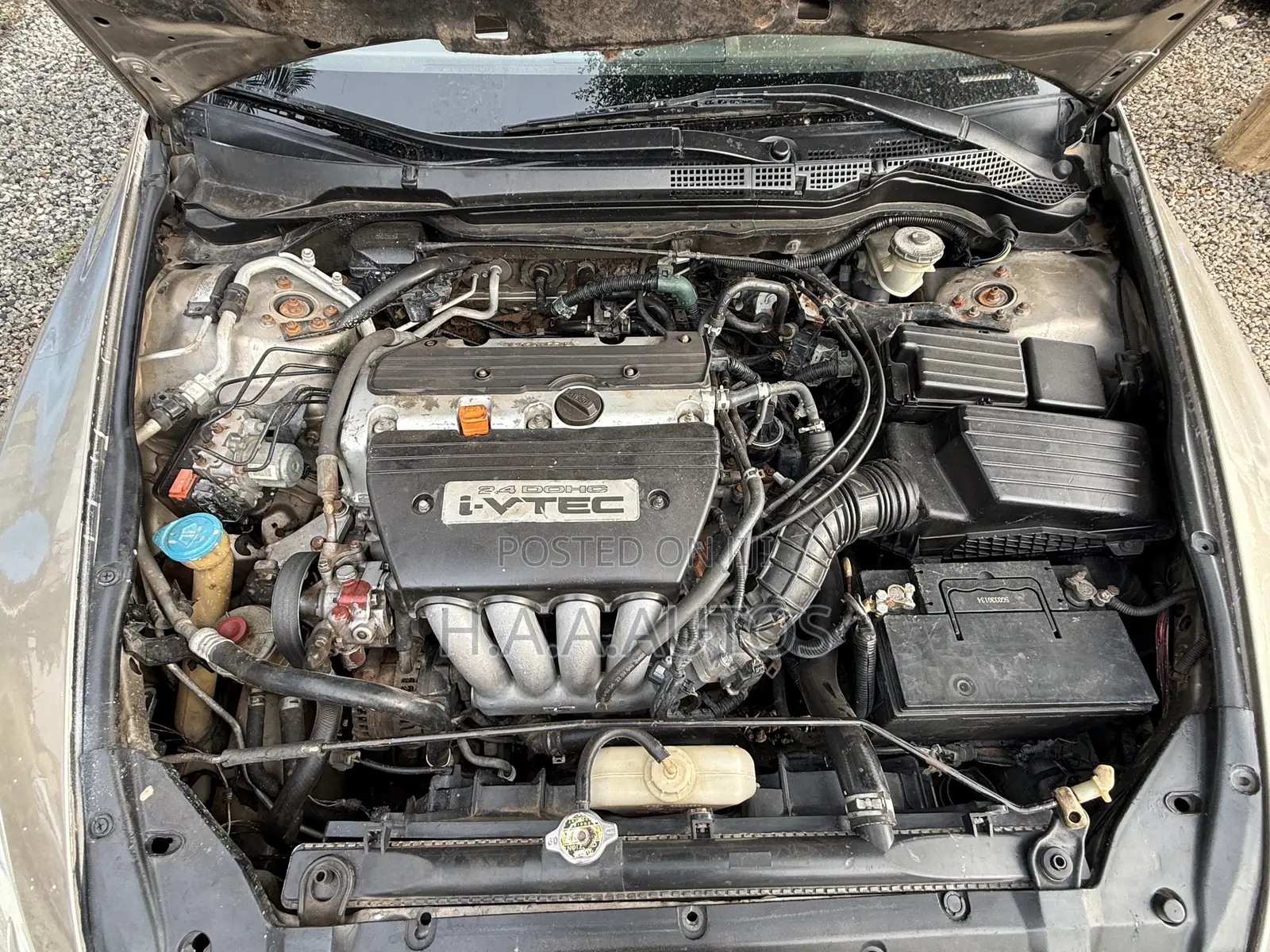 Honda Accord 2004 Gold