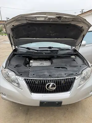 Lexus RX 350 2010 Silver