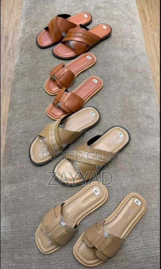 Zsd_collection