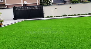 Carpet Grass Rug Astroturf / Lawanson Surulere Lagos