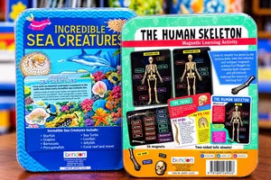 Educational Magnetic Stem Sets 7+