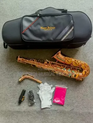 Professional Saxophone